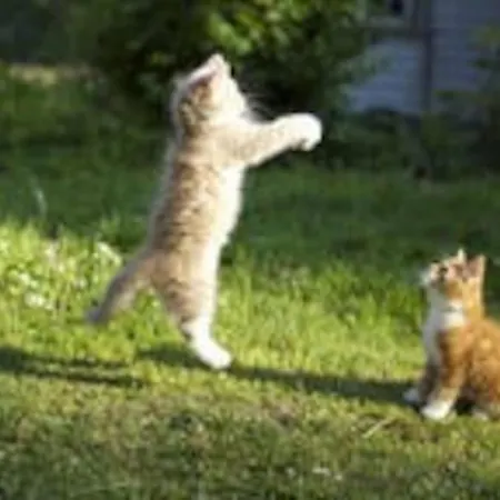 Idyllic Small Farm * Tønsberg
