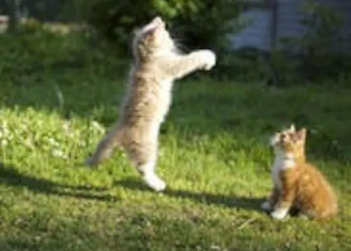 Idyllic Small Farm * Tønsberg